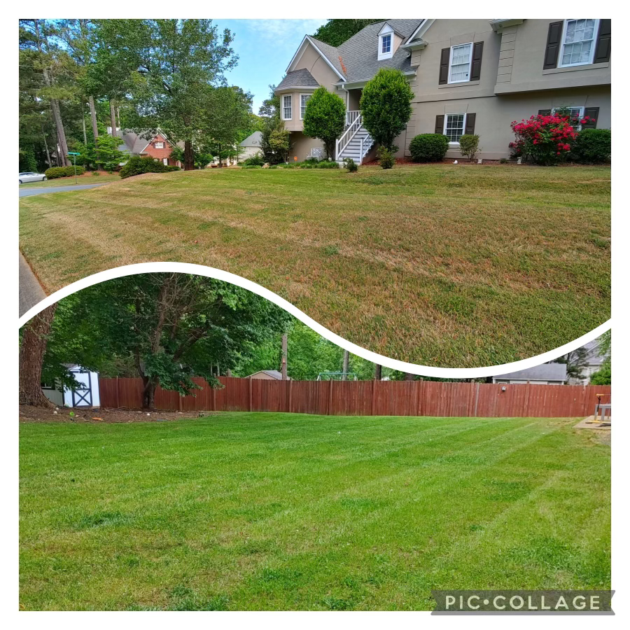 Before and after of an overgrown lawn freshly mowed and striped
